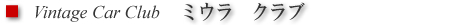 サブタイトル